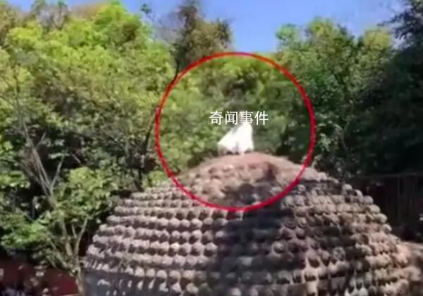 女子爬上樂山大佛頭頂盤腿打坐 景區：收到多人投訴已派人處理