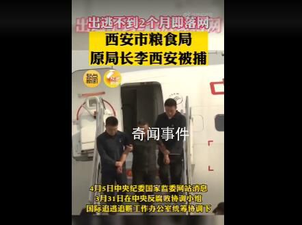 西安糧食局原局長(zhǎng)出逃不到2個(gè)月落網(wǎng) 李西安個(gè)人資料簡(jiǎn)介