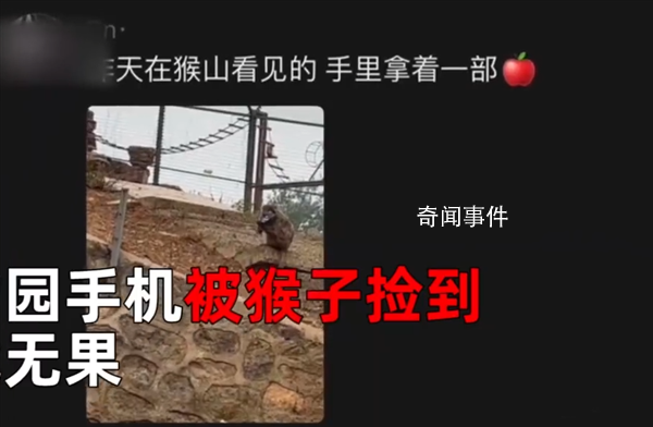 猴子撿走游客手機還接了電話 會接電話還會掛斷電話
