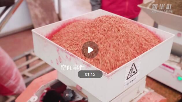 智慧育秧正當時 電力保障助春耕