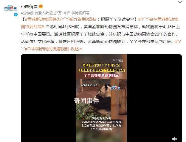 丫丫會在孟菲斯動物園待到月底 將為丫丫舉辦告別派對