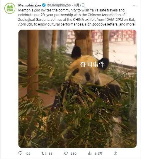 丫丫正式移交中方 正在討論后續合作