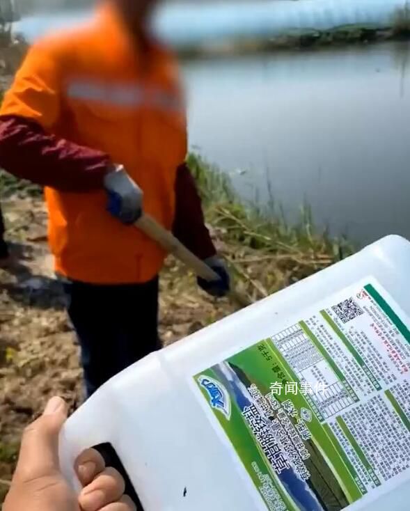 河道管理員疑除草毒死菜農(nóng)70畝菜 事件引起了菜農(nóng)們的極大不滿