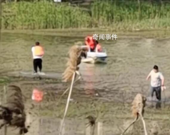 男孩玩滑索墜湖父親營救不幸遇難 已勒令景區相關項目停業