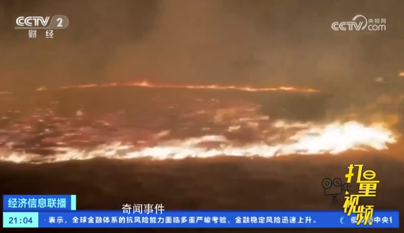 蒙古國發(fā)生草原火災(zāi) 燒死大量牲畜