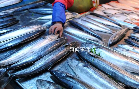 青島辟謠海水被污染海鮮不能吃 請廣大網友關注官方信息不造謠不信謠不傳謠