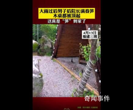 雨后春筍2天長30厘米頂翻木桌 雨后春筍為什么長得那么高