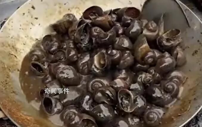 女生15元買15個螺肉疑為福壽螺 已打12315舉報