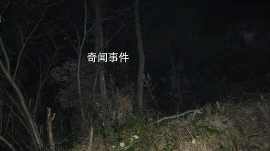 權威人士回應村民疑被當獵物遭槍擊 案件正在偵查階段嫌疑人已被控制