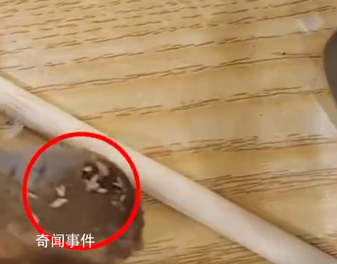 女子稱吃黃燜排骨發現滿嘴是蛆 目前雙方未就賠償問題達成一致