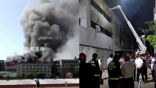 浙江武義一廠房火災(zāi) 致11人遇難