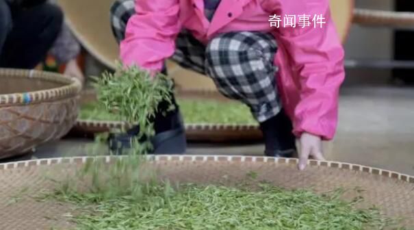 一路鮮花一路歌 春日經(jīng)濟(jì)暖意濃