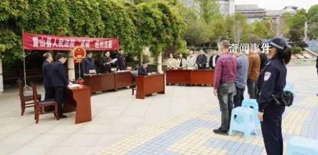 2600歲古楠木王已安排專人看護(hù) 已裝攝像頭