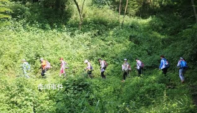 網(wǎng)傳3人在四川一林場(chǎng)服毒自殺 背后真相太可怕了