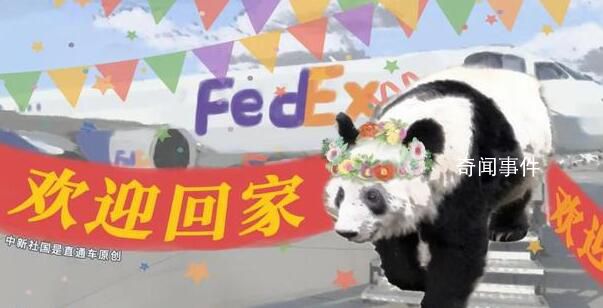 旅美大熊貓“丫丫”專機已降落上海 丫丫終于回來了