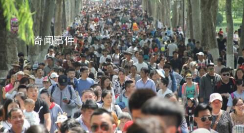 “五一”假期 如何安全出游?