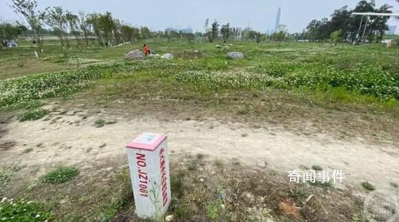 成都回應(yīng)多處“拆綠還耕” 官方回應(yīng)爭議