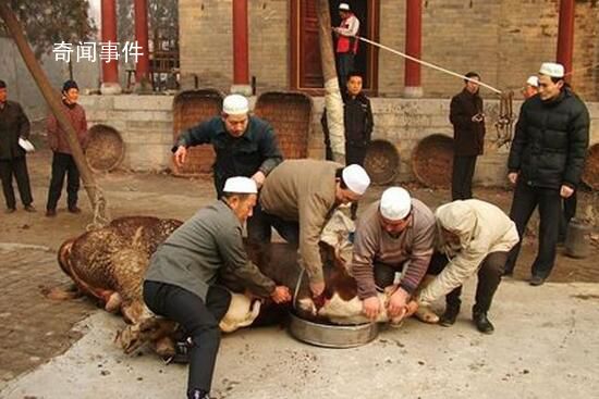回族為什么不吃豬肉 回族人禁忌有哪些