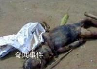 水猴子真的存在嗎 世界上水鬼真的存在嗎