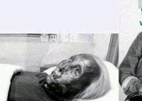 東北貓臉老太太是真實存在的嗎 貓臉老太太是不是真實事件