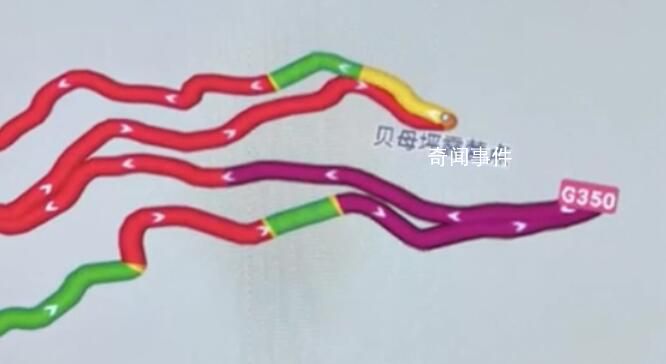 女子五一旅游吐槽導航堵紫了 吐槽：導航堵紫了第一次見