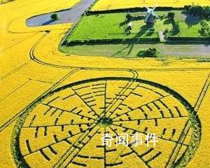 沙漠怪圈之謎 是外星基地還是人造物體
