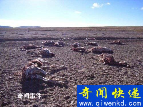 世界十大禁區有哪些 世界的十大禁地有哪些
