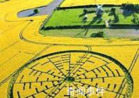 沙漠怪圈之謎 是外星基地還是人造物體