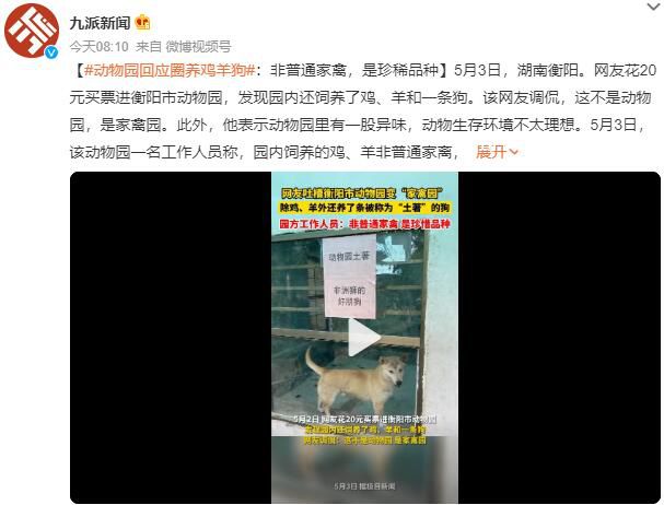 動物園回應圈養雞羊狗 屬于珍稀品種