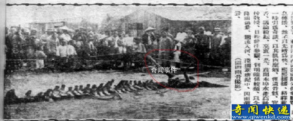 1934年山東營口墜龍事件未解之謎 營口墜龍事件是真的嗎