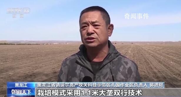 全國春播糧食過四成 各地抓緊推進作物播種