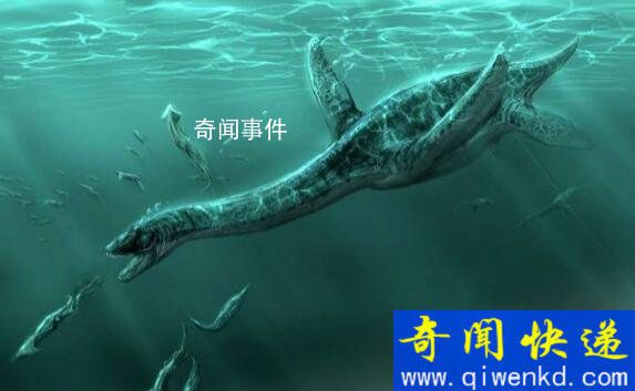 蛇頸龍到底是什么樣的 尼斯湖水怪是蛇頸龍嗎