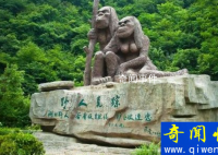神農(nóng)架野人未解之謎是真的嗎 神農(nóng)架野人真的存在嗎
