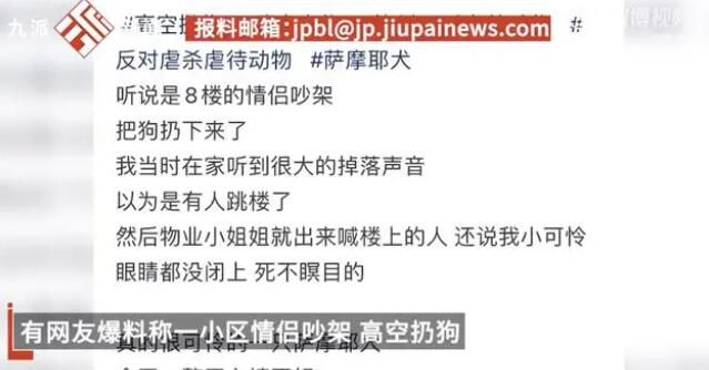 情侶吵架從8樓將薩摩耶扔下 警方已將人帶走正在處理