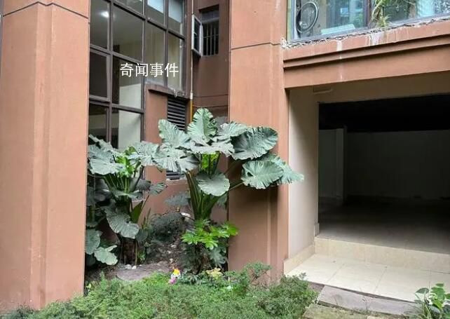 姐弟墜亡案被告翻供稱“有精神病” 做人應(yīng)該有起碼的良知