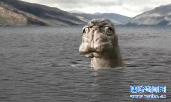 世界十大水怪之謎 水怪真的存在嗎?