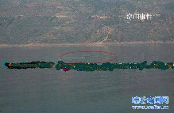 世界十大水怪之謎 水怪真的存在嗎?