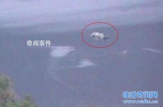 世界十大水怪之謎 水怪真的存在嗎?