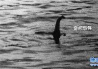 尼斯湖水怪真的存在嗎 尼斯湖水怪之謎的真相