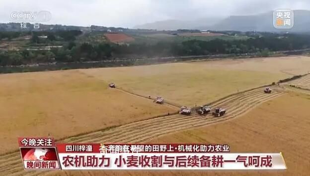 當(dāng)傳統(tǒng)小麥遇上現(xiàn)代機(jī)械化收割 小麥?zhǔn)崭钆c后續(xù)備耕一氣呵成