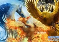 上古神獸鳳凰原型未解之謎 鳳凰原型是什么動(dòng)物