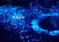 浙江多地海邊現(xiàn)
