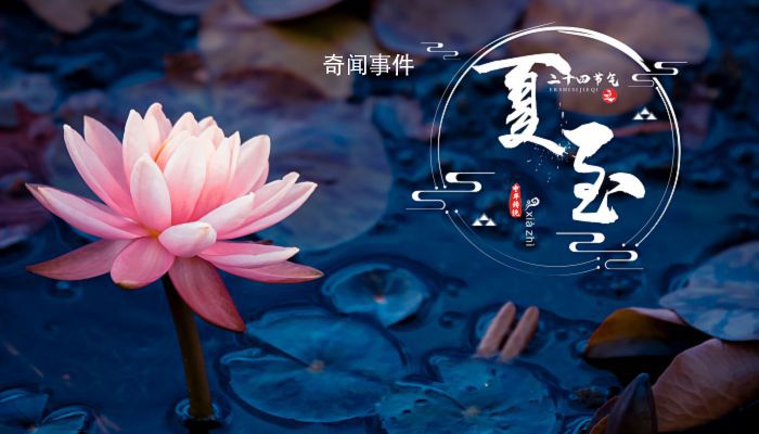與夏至有關的詩句去哪找 描寫夏至的詩句有哪些