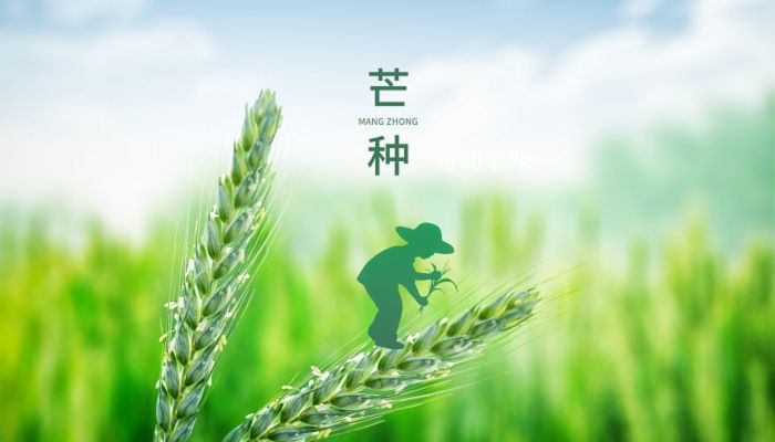 2023年芒種哪一天 芒種習(xí)俗有哪些講究