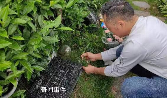杭州墜亡女童父親:她居然不用坐牢