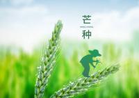 2023年芒種哪一天 芒種習俗有哪些講究