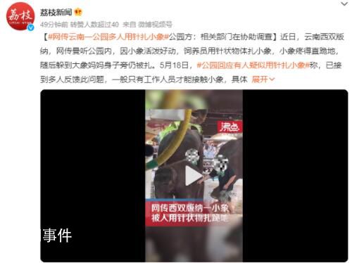 網傳云南一公園多人用針扎小象 已接到多人反饋此問題
