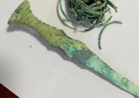 男子路邊花5600元買到戰國青銅劍 收藏一年多后思想發生了變化