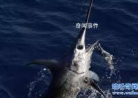 海底一萬米有多恐怖 海底一萬米下的生物有哪些