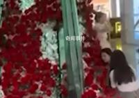商場520花海被顧客一搶而光 商場已報警處理